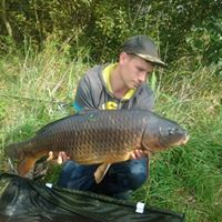 Andrew Medlock Photo 6