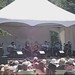 Sheri Page Photo 20
