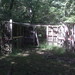 Jason Throne Photo 9