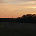 Robert Dant Photo 10