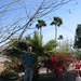Carol Ray Photo 16