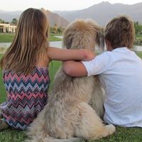 Carrie Westrick Photo 8