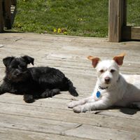 Diane Mathias Photo 4