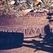 Roy Taylor Photo 41