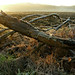 Dawn Laughlin Photo 14