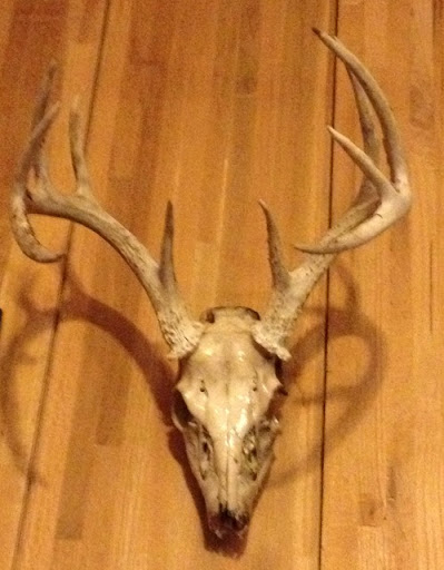 Rodney Beard Photo 17