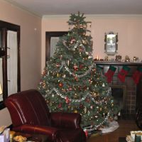 Deborah Brauer Photo 6