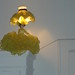 Linda Griggs Photo 37