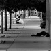 Michael Billings Photo 13