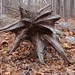 Michelle Stump Photo 43