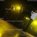 Adda Lee Photo 12
