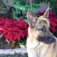 Susan Munoz Photo 16