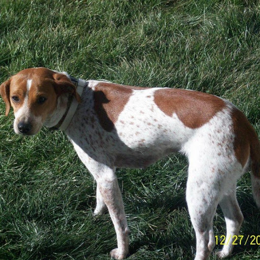 Jessica Tripp Photo 4