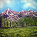 Marilyn Meadows Photo 4