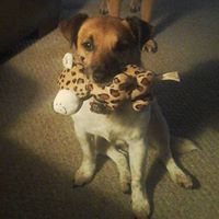 Sharon Thacker Photo 28