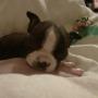 Mary Gonzalez Photo 5