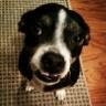 Heather Bauman Photo 8