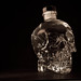 Crystal Head Photo 17
