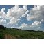 Erin Land Photo 1