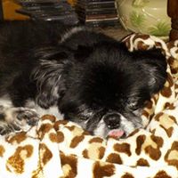 Sandra Huskey Photo 10