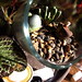 Beth Grubb Photo 22