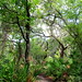 Peggy Parks Photo 34