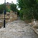 Arthur Lane Photo 22
