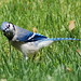 Jay Hunt Photo 33