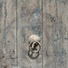 David Mizrahi Photo 25