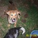 Jessie Samples Photo 3