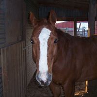 Fredrick Henderson Photo 4
