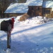 Lois Ross Photo 37
