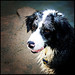Clay Gooch Photo 15