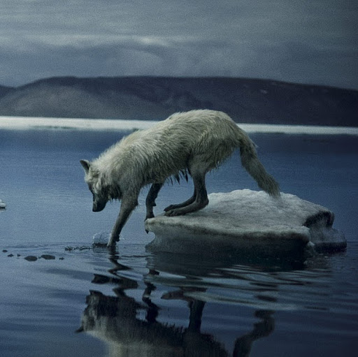 Christopher Kopp Photo 13