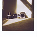 Paula Gillis Photo 10
