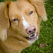 Jennie Frantz Photo 9