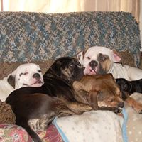 Mark Warne Photo 4