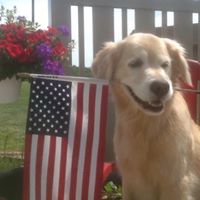 Gayle Geiger Photo 4