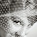 Rachel Swain Photo 20