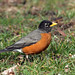 Robin Spaulding Photo 12