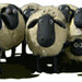 Shaun Small Photo 13