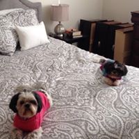 Deborah Moyer Photo 10