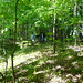 Wanda Woods Photo 9
