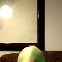 Alexander Howell Photo 27