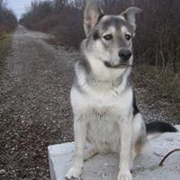 Judy Aucoin Photo 4