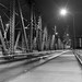 Andrew Hawthorne Photo 25