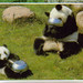 Ling Su Photo 23