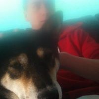 Nathan Rowley Photo 5