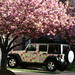 Laura Talbott Photo 9