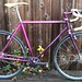 Nina Thomson Photo 9